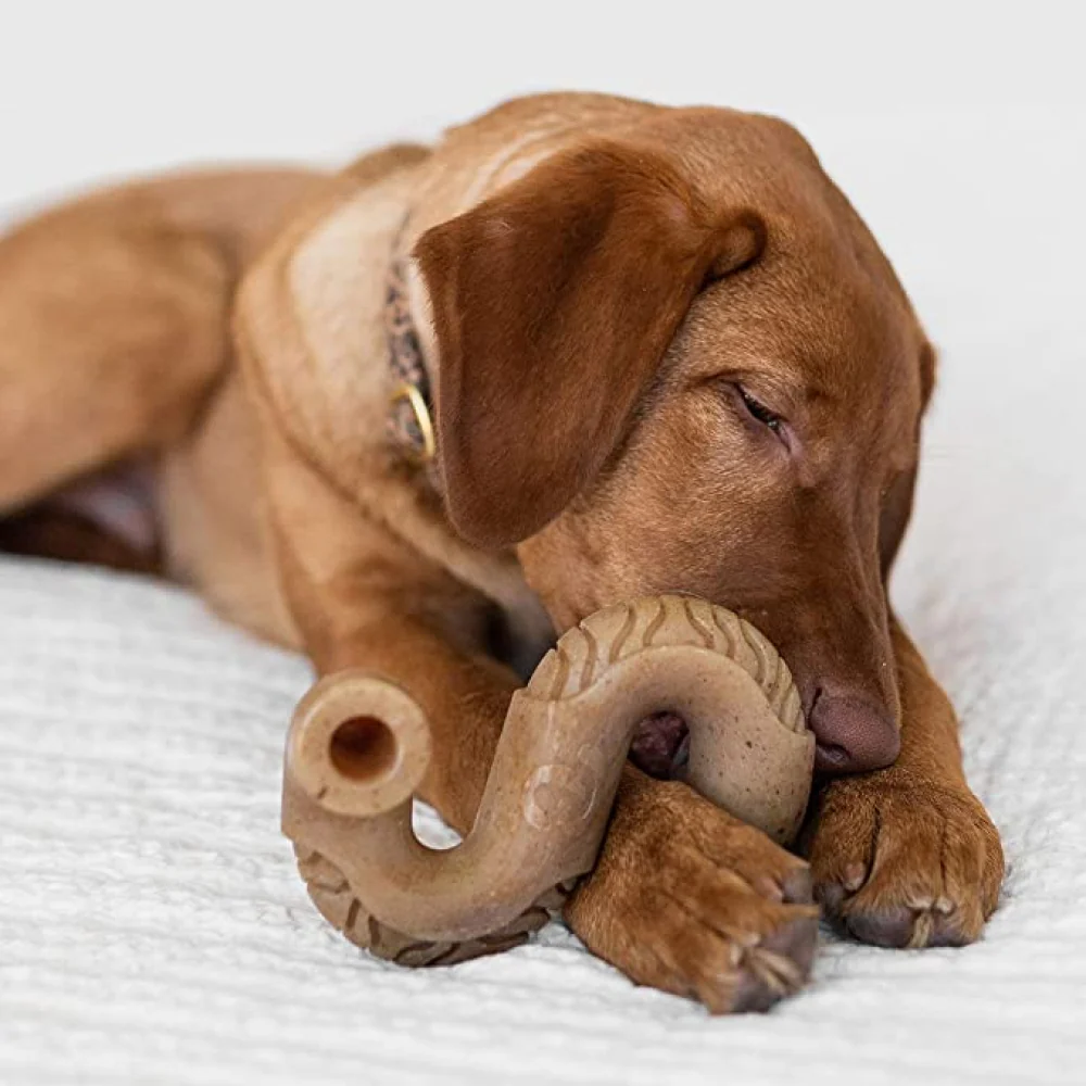 Benebone Tripe Bone Chew Toy for Aggressive Chewers Dogs - Image 2