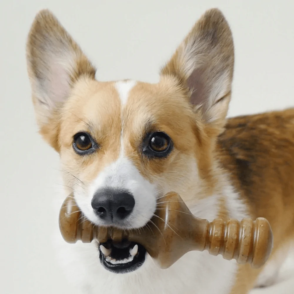 Benebone Chicken Flavored Zaggler Chew Toy  for Dogs - Image 6