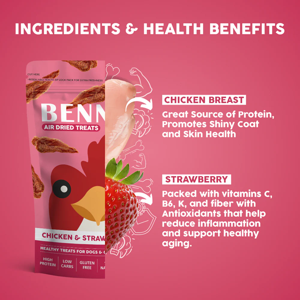 Bennys Bowl Chicken and Strawberry Jerky Dog Treats - Image 7