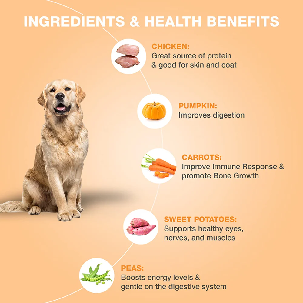 Bennys Bowl Chicken and Pumpkin Dog Fresh and Wet Food - Image 2
