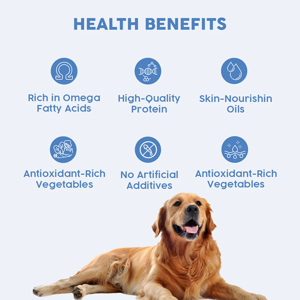 Benny's Bowl Clinical Nutrition for Gastrointestinal Issues Dog Wet Food - Image 3