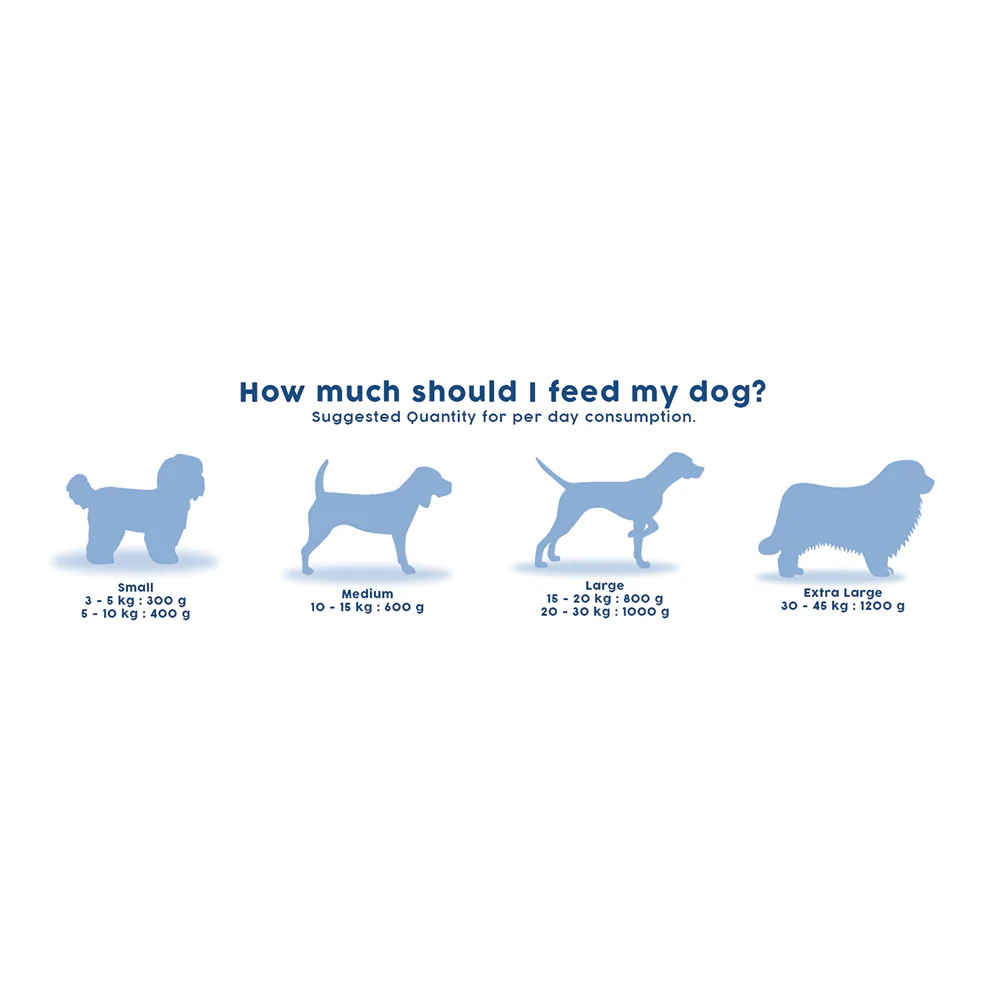 Benny's Bowl Clinical Nutrition for Gastrointestinal Issues Dog Wet Food - Image 6