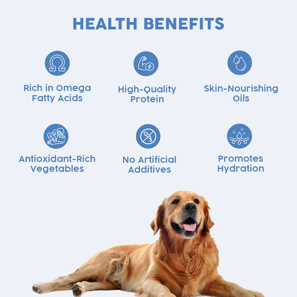 Benny's Bowl Clinical Nutrition for Healthy Skin and Coat Dog Wet Food - Image 2