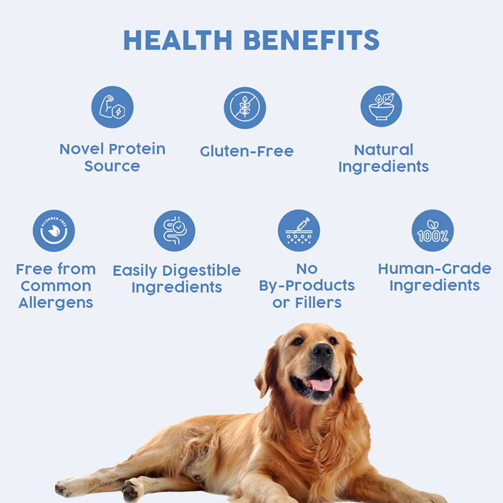 Benny's Bowl Hypoallergenic Diet to Prevent Allergies Dog Wet Food - Image 5