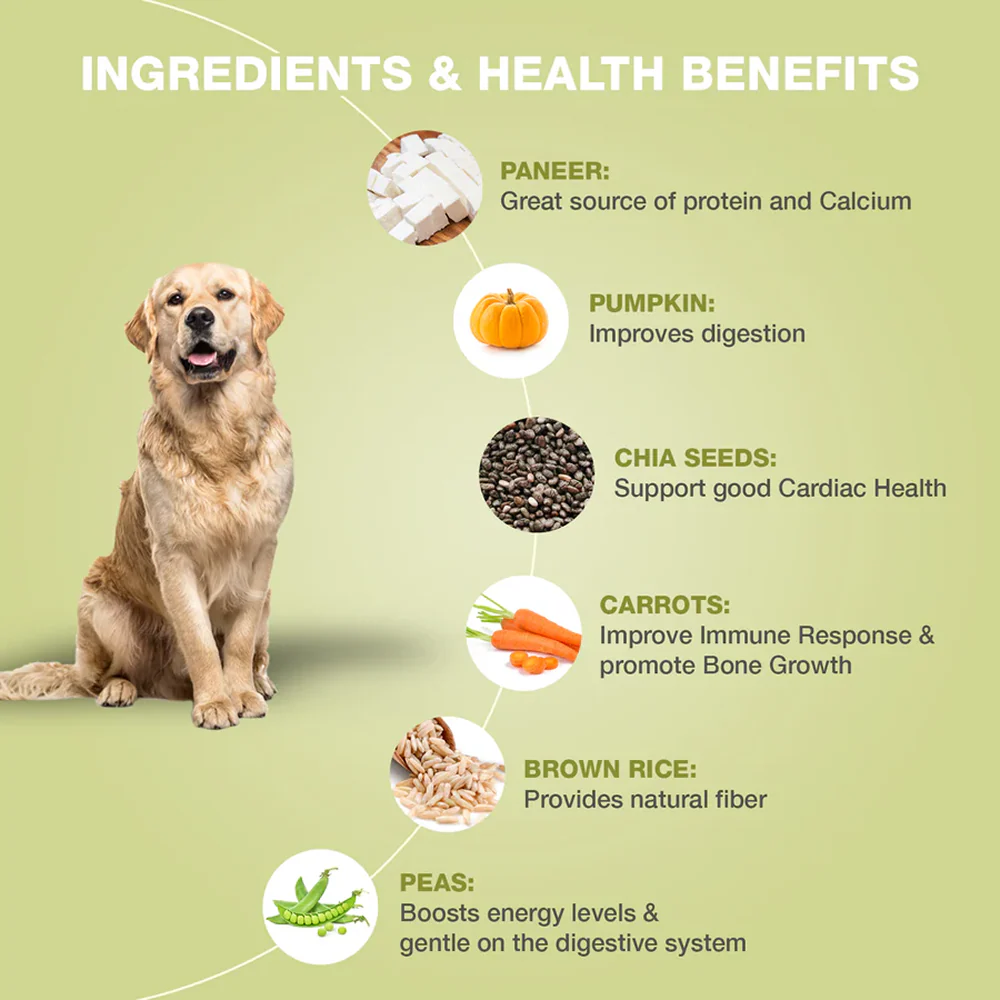 Bennys Bowl Variety Pack Dog Fresh and Wet Food - Image 6
