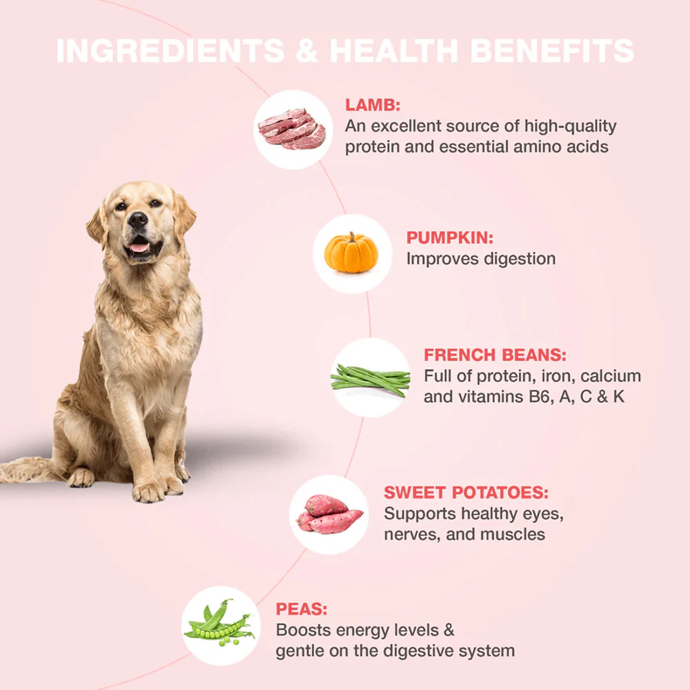 Bennys Bowl Varity Pack Dog Fresh and Wet Food - Image 8