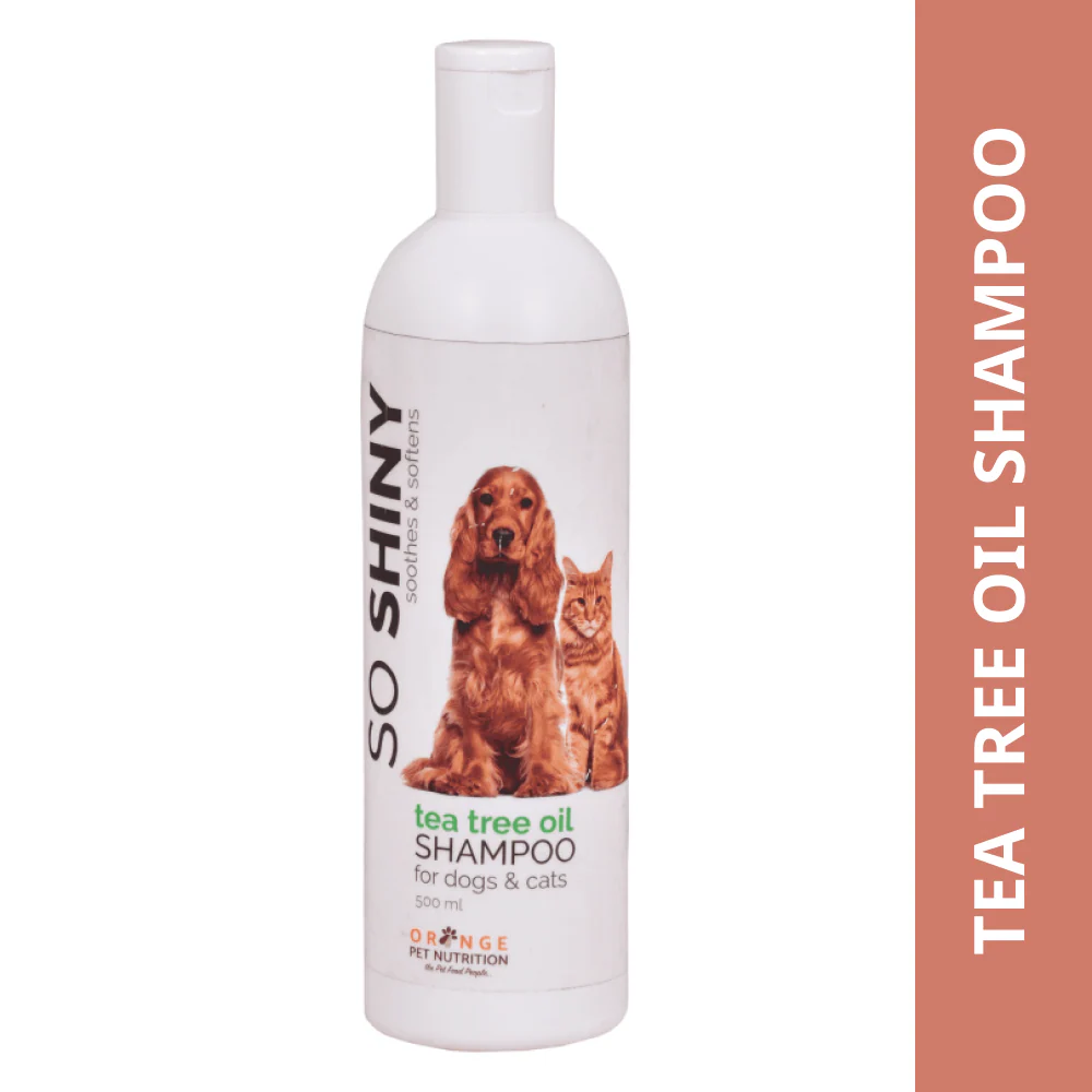 BI Grooming So Shiny Tea Tree Oil Shampoo for Dogs and Cats - Image 4