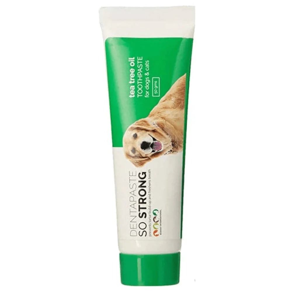 BI Grooming So Strong Dentapaste with Brush for Dogs and Cats - Image 2