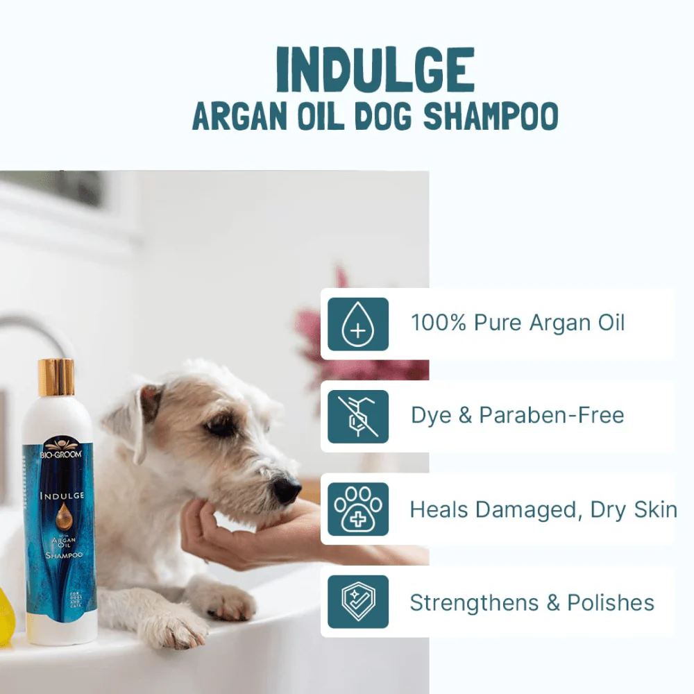 Bio Groom Indulge Sulfate Free Pure Argan Oil Shampoo for Dogs and Cats - Image 3