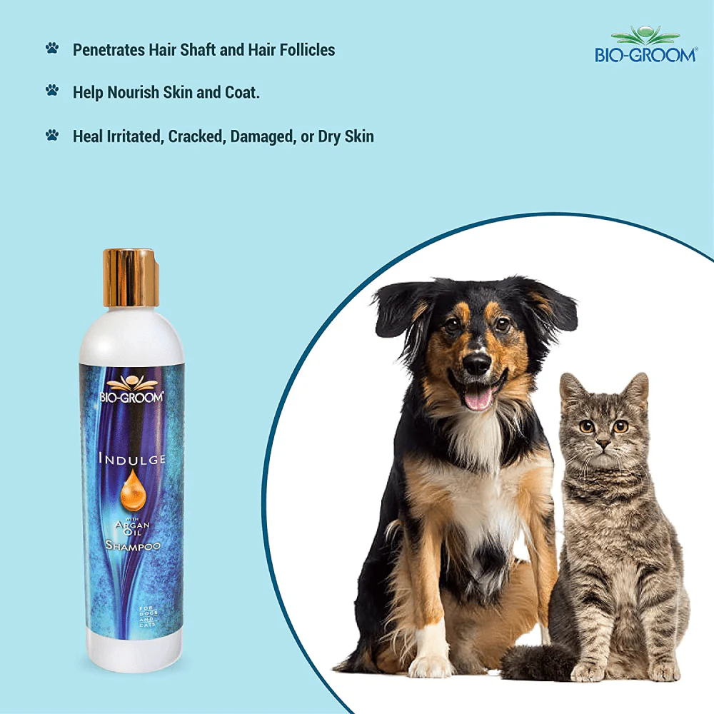 Bio Groom Indulge Sulfate Free Pure Argan Oil Shampoo for Dogs and Cats - Image 5