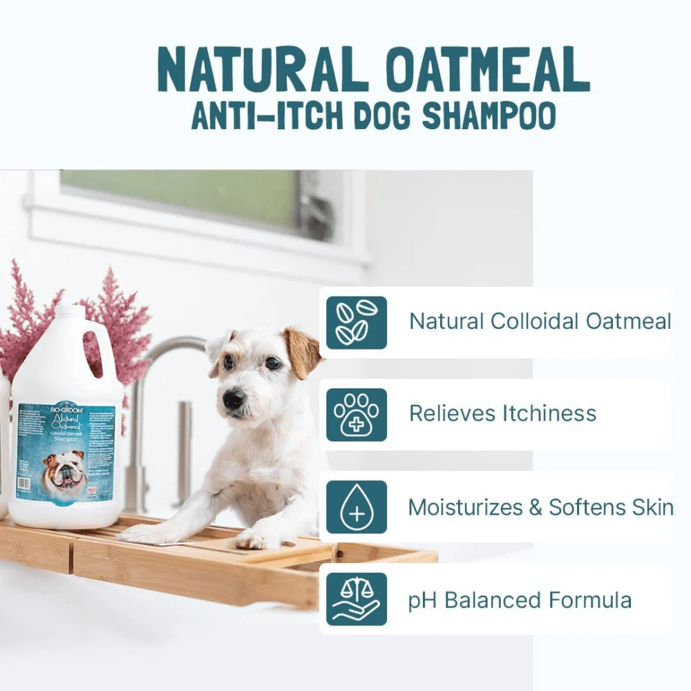 Bio Groom Natural Oatmeal Soothing Shampoo for Dogs and Cats - Image 6