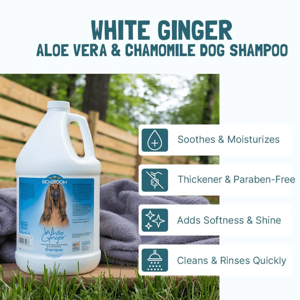 Bio Groom White Ginger Natural Scent Shampoo for Dogs and Cats - Image 4