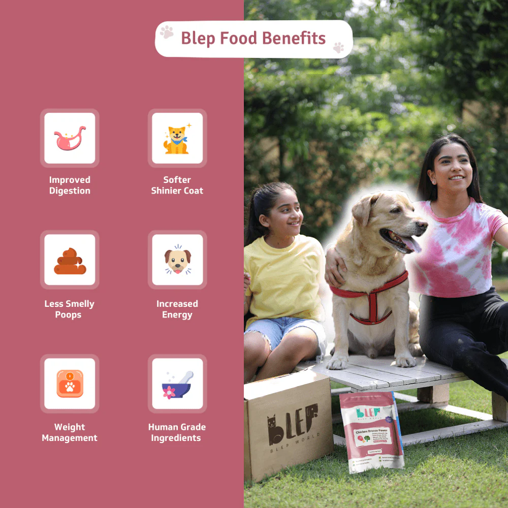 BLEP Chicken Brocco Pawer Dog Wet Food (300g) - Image 4