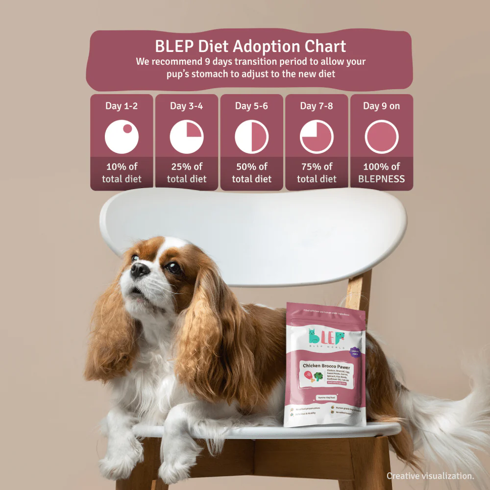 BLEP Chicken Brocco Pawer Dog Wet Food - Image 4