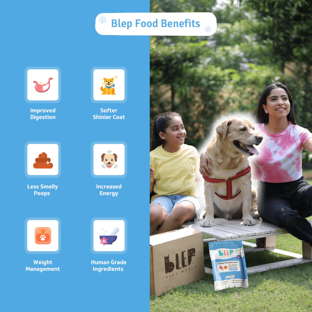 BLEP Chicken & Pumpkin Pawer Dog Wet Food (300g) - Image 3