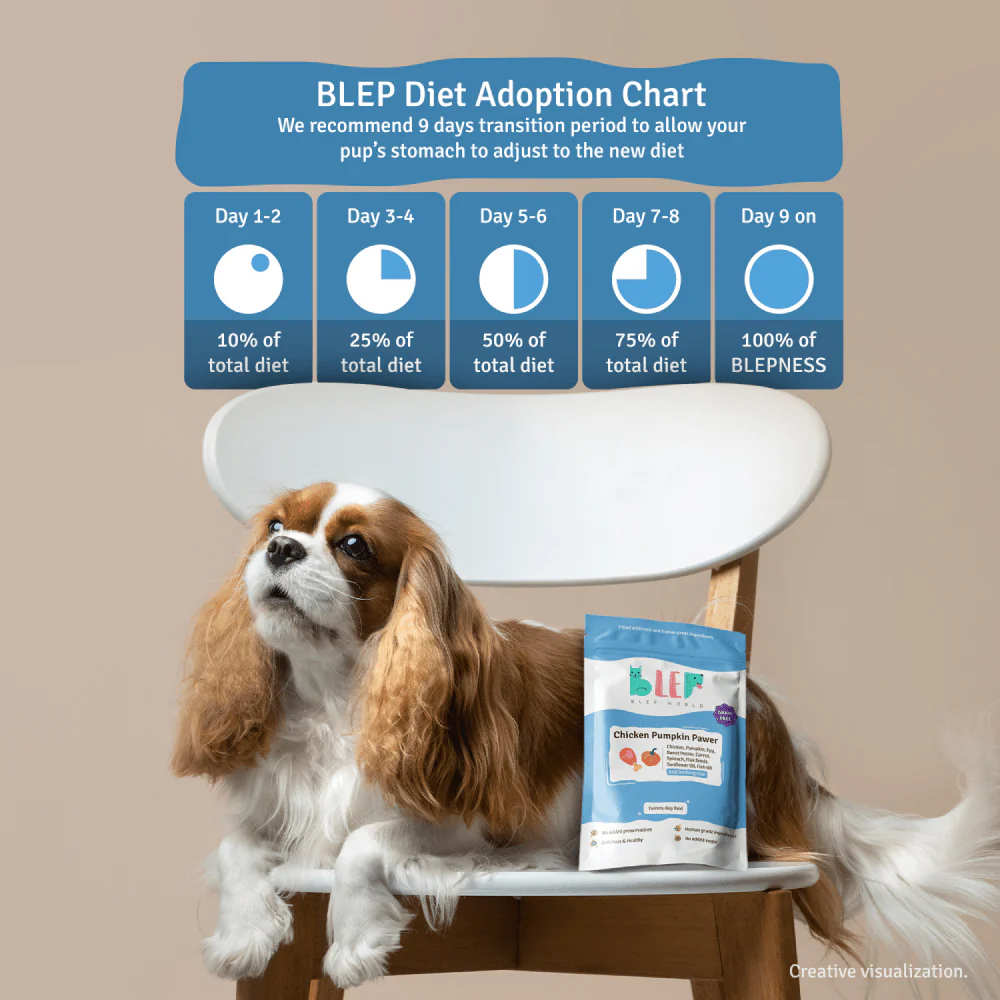 BLEP Pawer 5 Flavour Variety Pack Dog Wet Food - Image 14