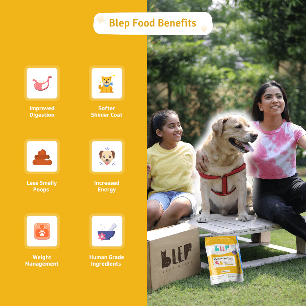 BLEP Pawer 5 Flavour Variety Pack Dog Wet Food - Image 17