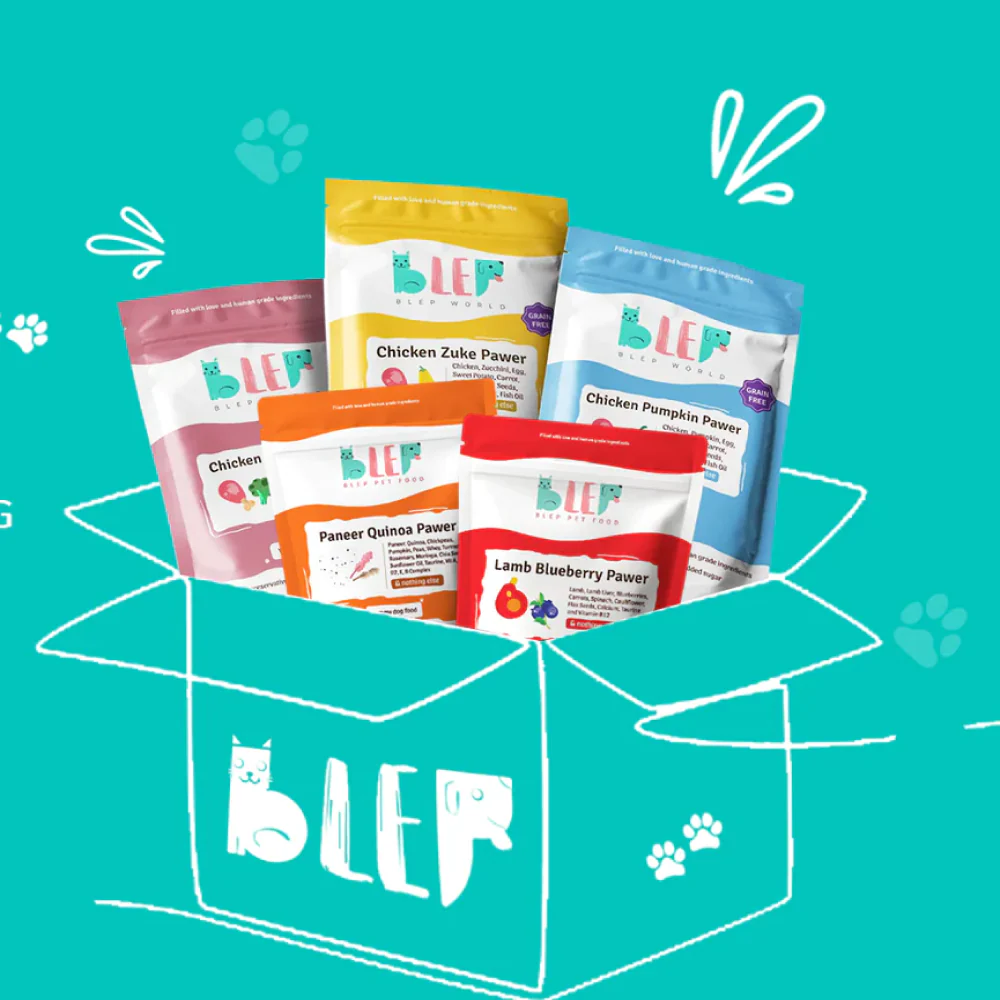 BLEP Pawer 5 Flavour Variety Pack Dog Wet Food - Image 2