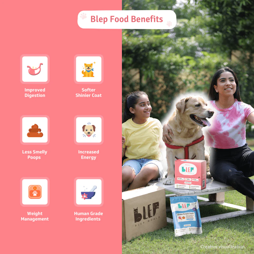 BLEP Trial Box Dog Wet Food - Image 3