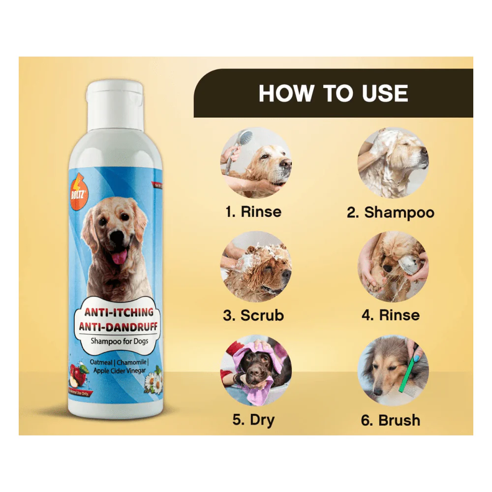 Boltz Anti Itch & Dandruff Shampoo for Dogs - Image 2