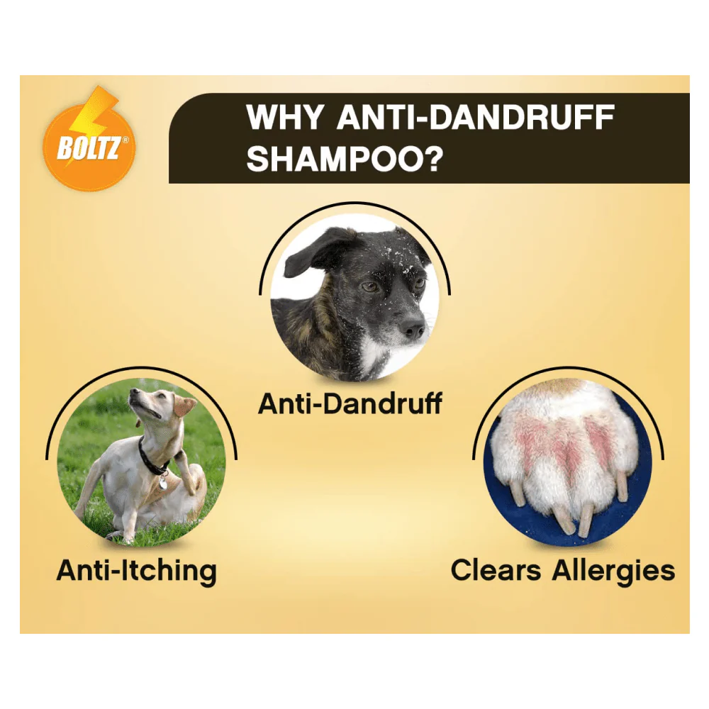 Boltz Anti Itch & Dandruff Shampoo for Dogs - Image 4