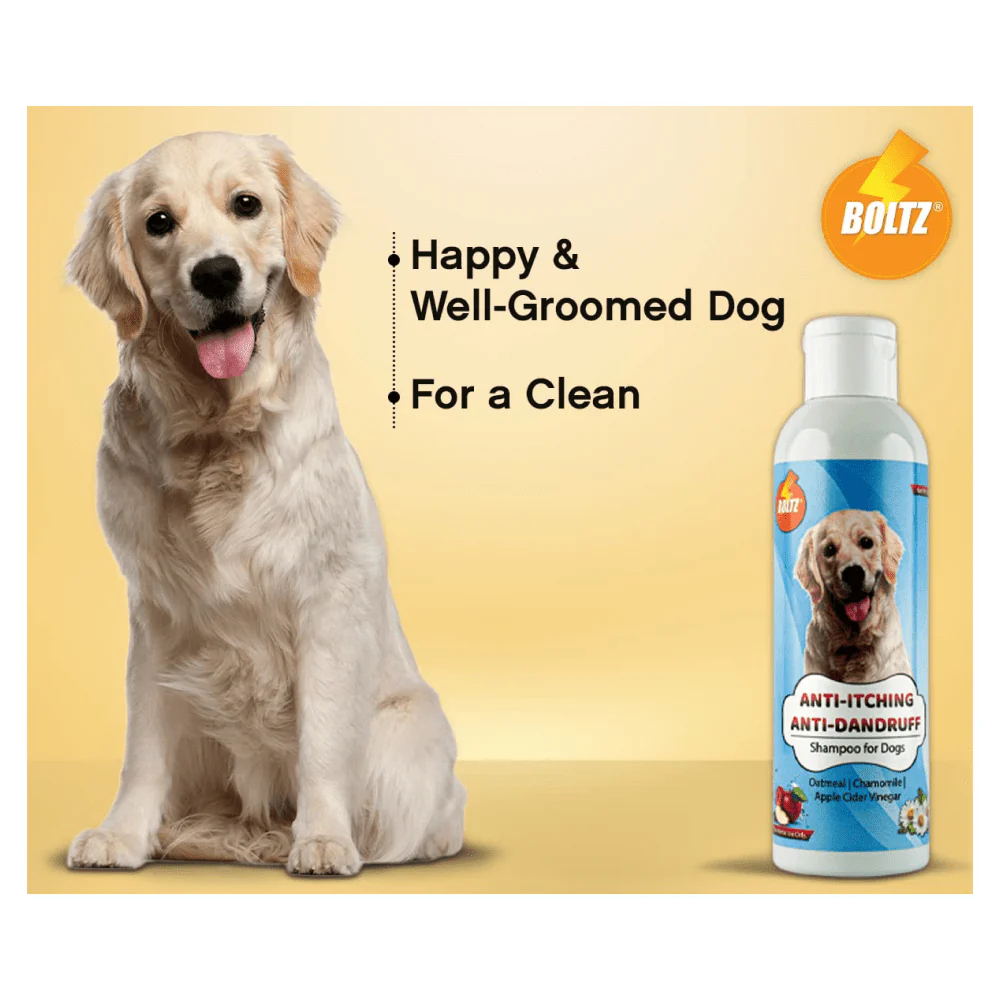 Boltz Anti Itch & Dandruff Shampoo for Dogs - Image 5