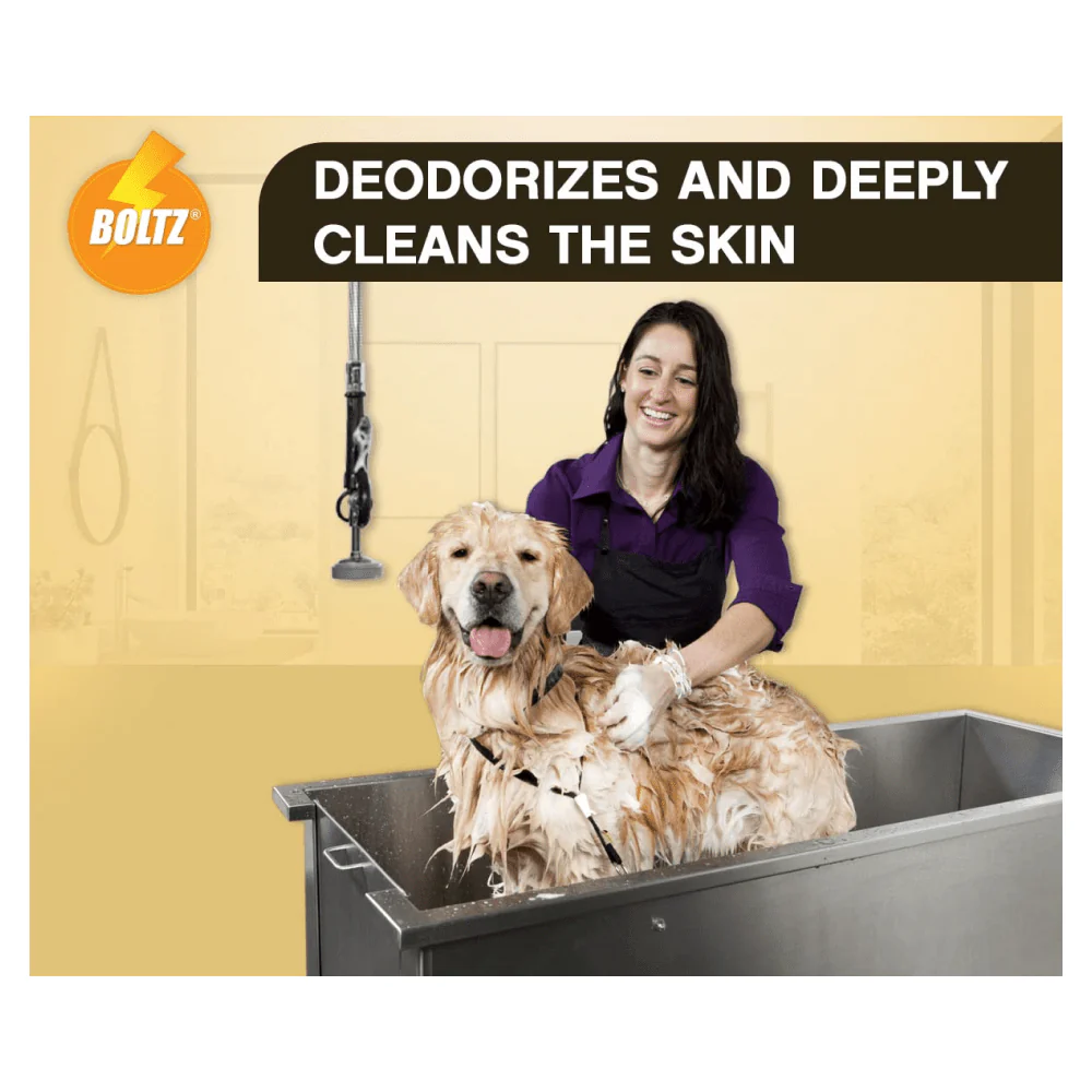 Boltz Anti Itch & Dandruff Shampoo for Dogs - Image 6