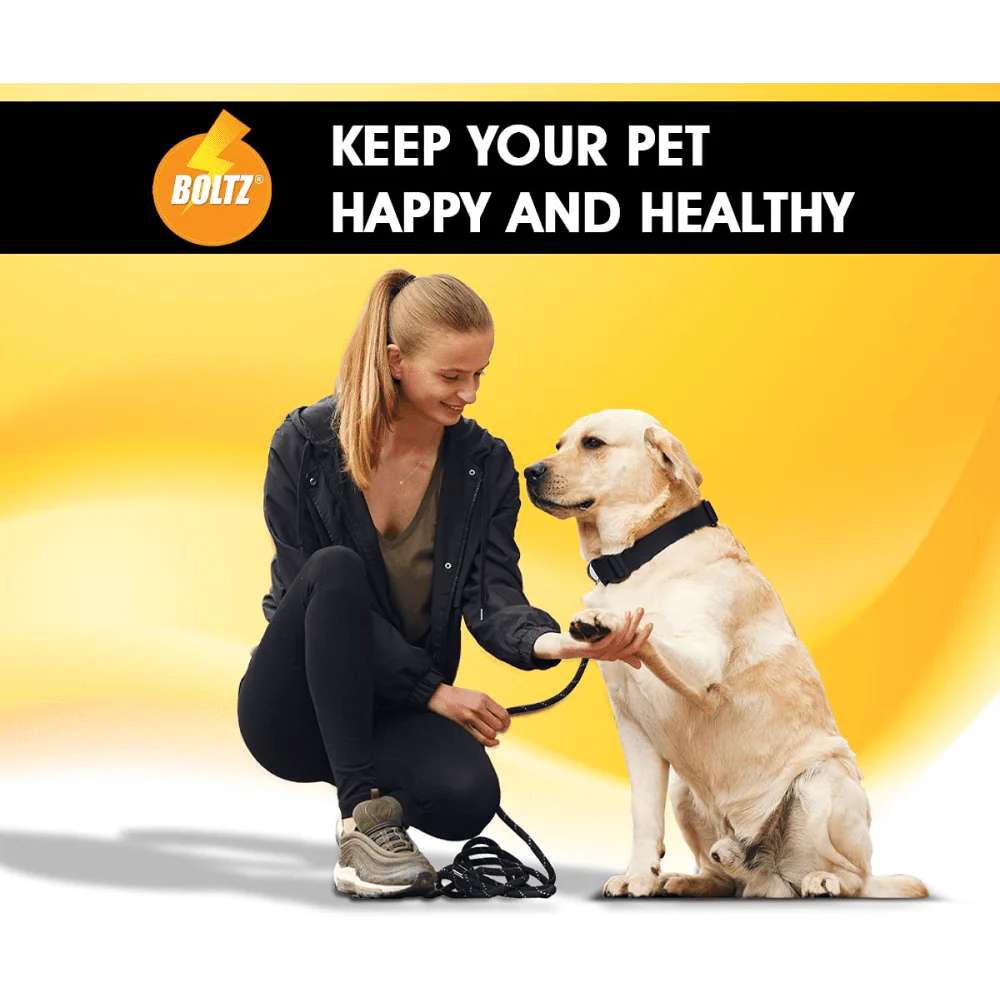 Boltz Anti Tick & Flea Shampoo with Brush for Dogs - Image 7