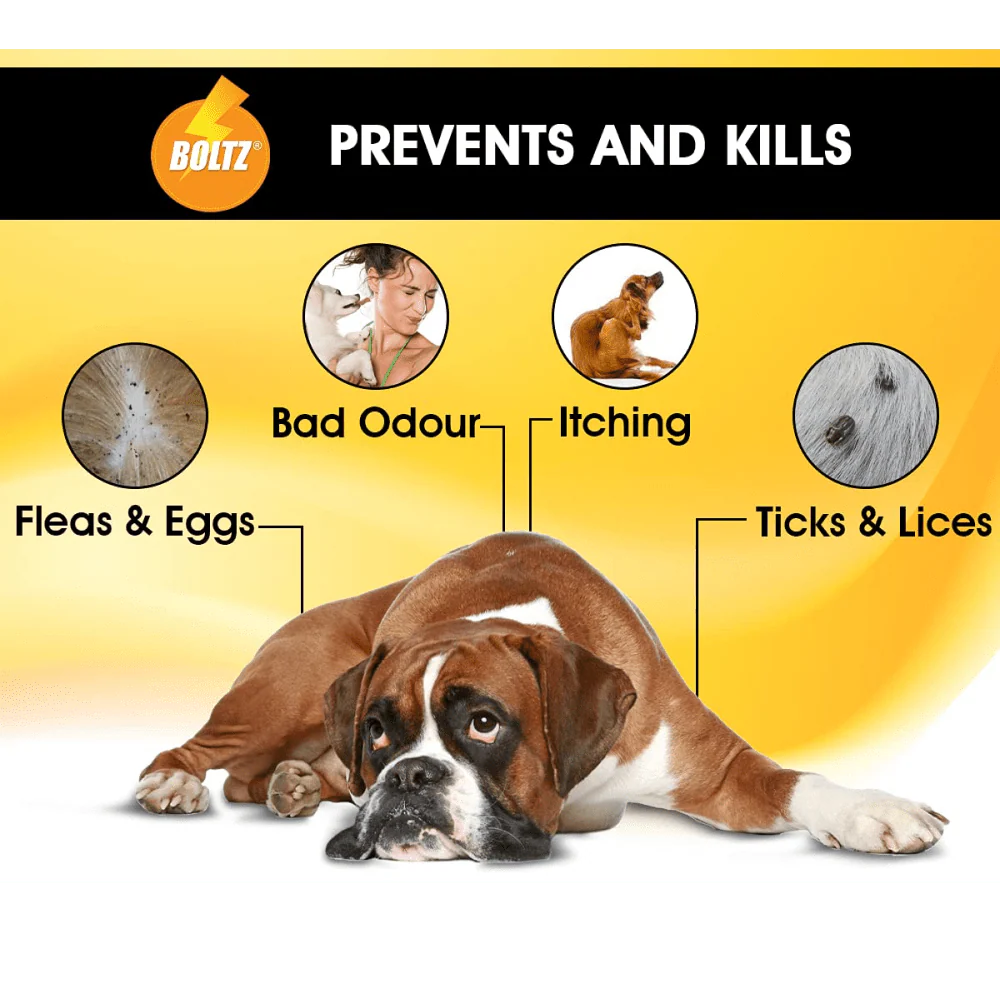 Boltz Anti Tick & Flea Shampoo with Brush for Dogs - Image 9
