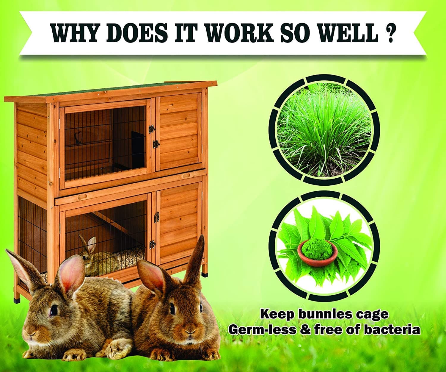 Boltz Antibacterial Litter Spray for Rabbit - Image 5