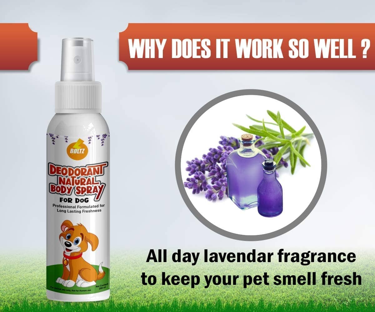 Boltz Body Spray Perfume Deodorizers for Dogs and Cats - Image 4