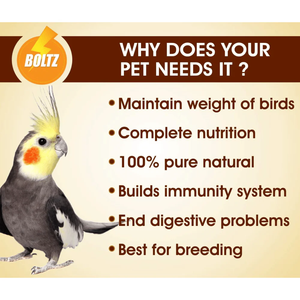 Boltz Cockatiel & Lovebird Food - Image 2