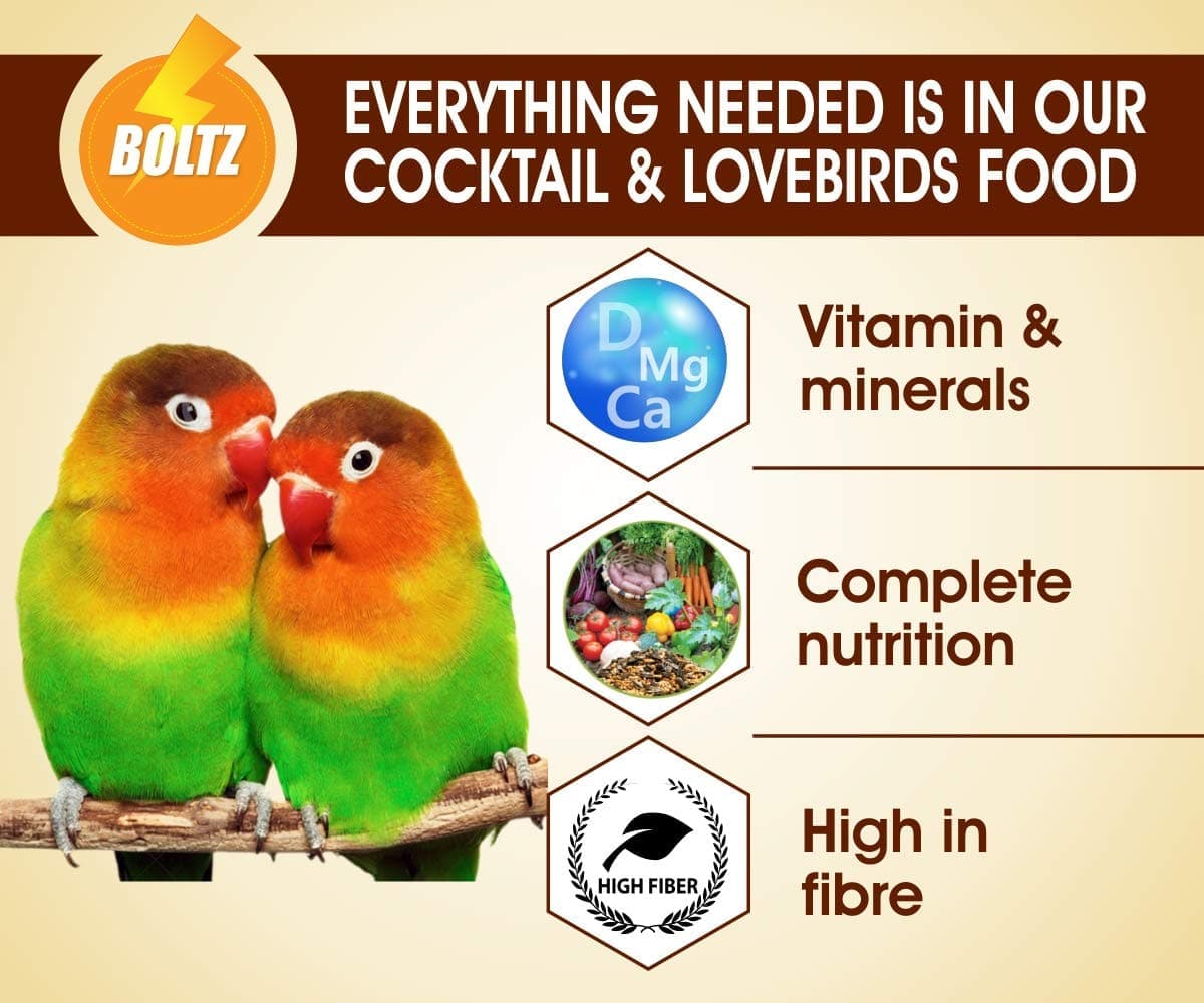 Boltz Cockatiel & Lovebird Food - Image 5