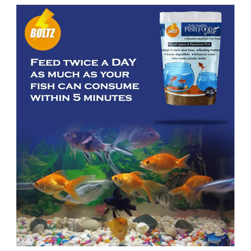 Boltz Healthy Fish Food - Image 6
