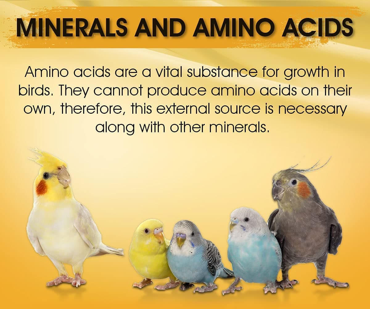 Boltz Immunity Booster for All Birds - Image 5