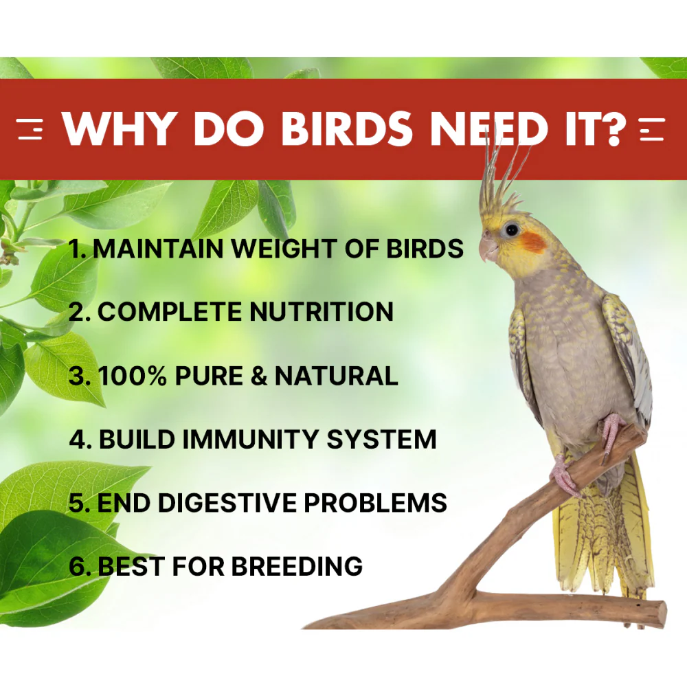 Boltz Mixed Seeds Adult Bird Food for Cockatiel and Lovebirds - Image 2