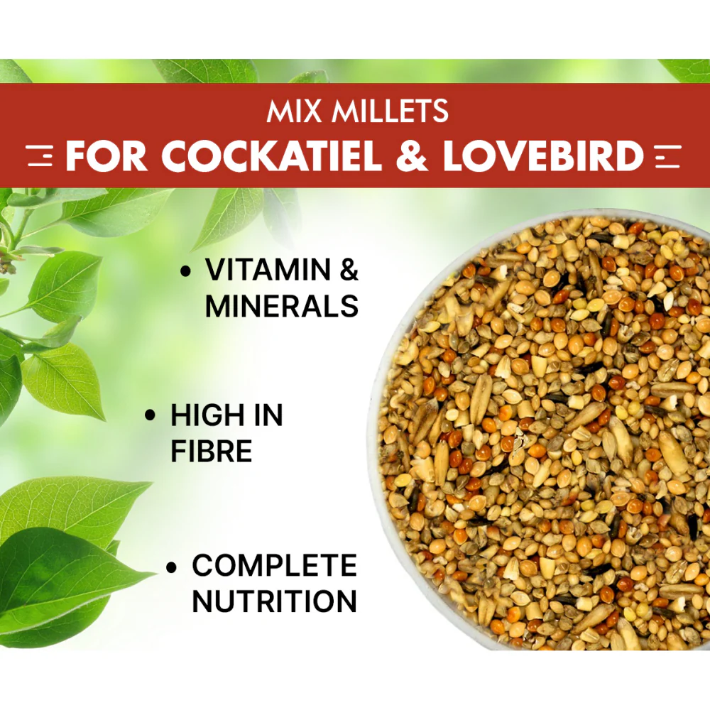 Boltz Mixed Seeds Adult Bird Food for Cockatiel and Lovebirds - Image 3