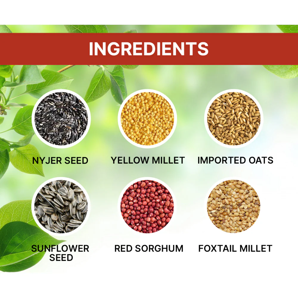 Boltz Mixed Seeds Adult Bird Food for Cockatiel and Lovebirds - Image 4