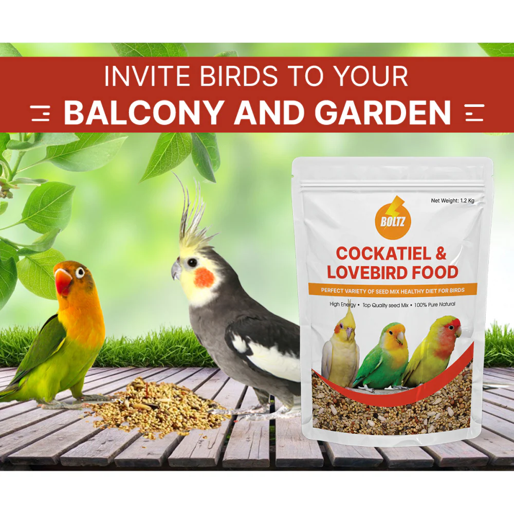 Boltz Mixed Seeds Adult Bird Food for Cockatiel and Lovebirds - Image 7