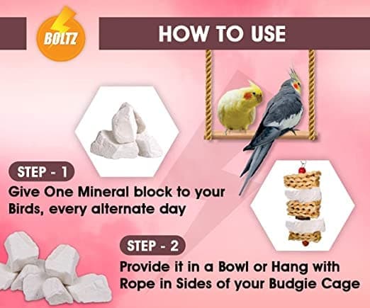 Boltz Natural Mineral Block with Cuttlefish Bone Chunks for Birds - Image 6