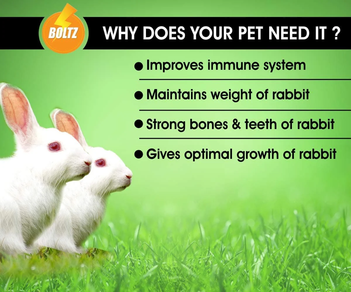 Boltz Premium Rabbit food - Image 3
