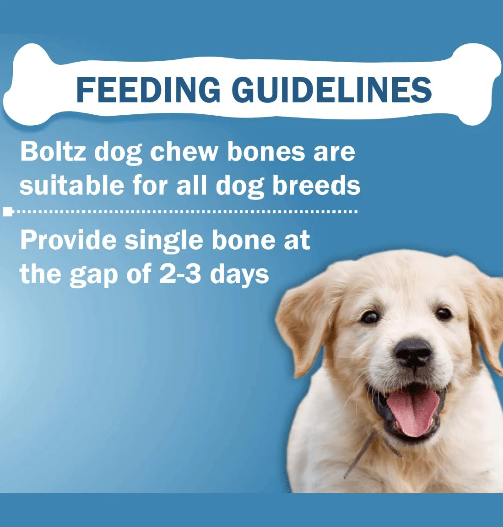 Boltz Rawhide Pressed Chew Bone Treat for Dogs - Image 5