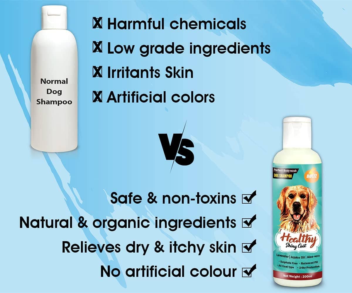 Boltz Shampoo for Dogs - Image 10