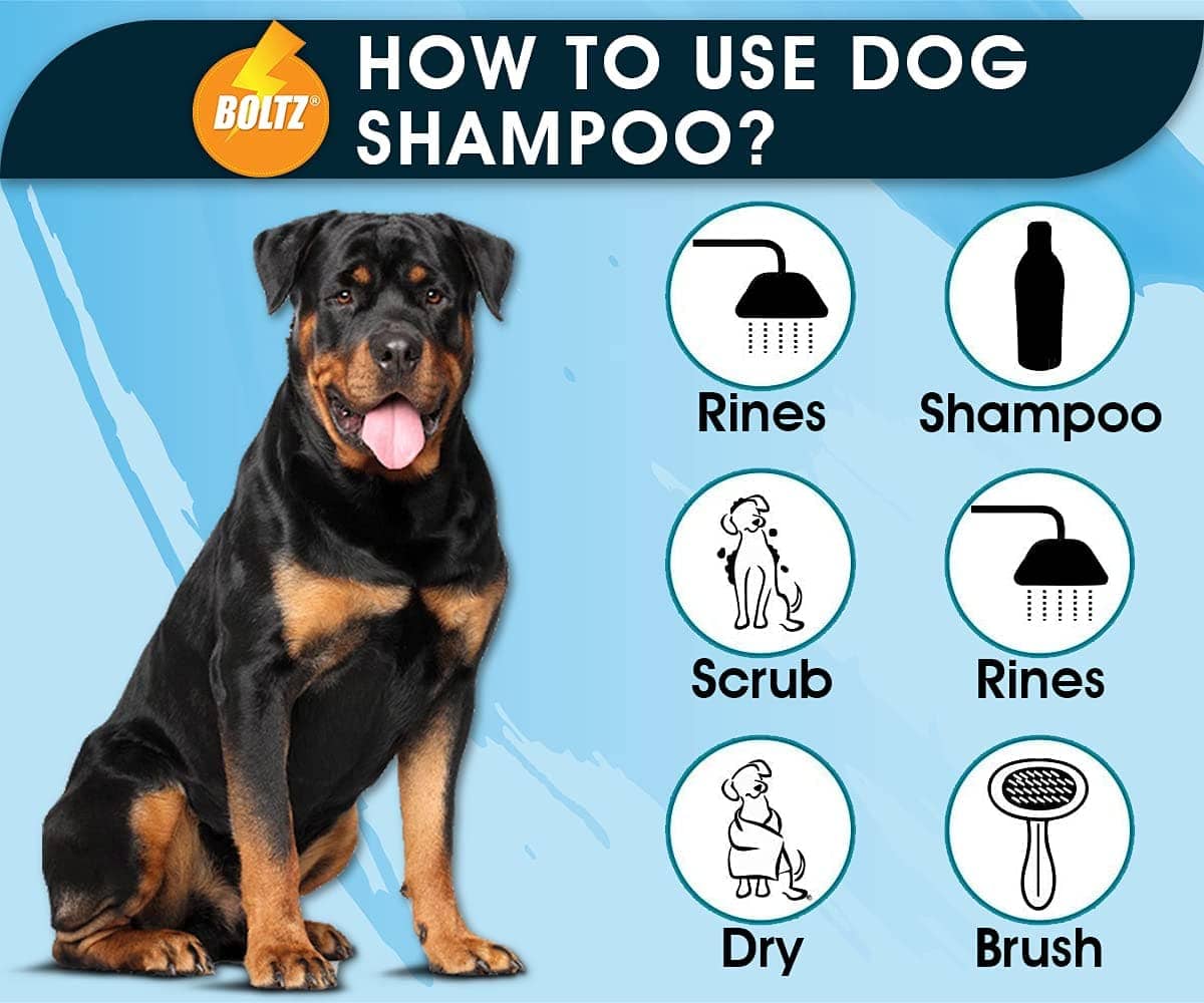 Boltz Shampoo for Dogs - Image 3