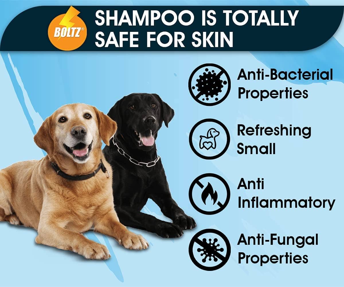 Boltz Shampoo for Dogs - Image 4