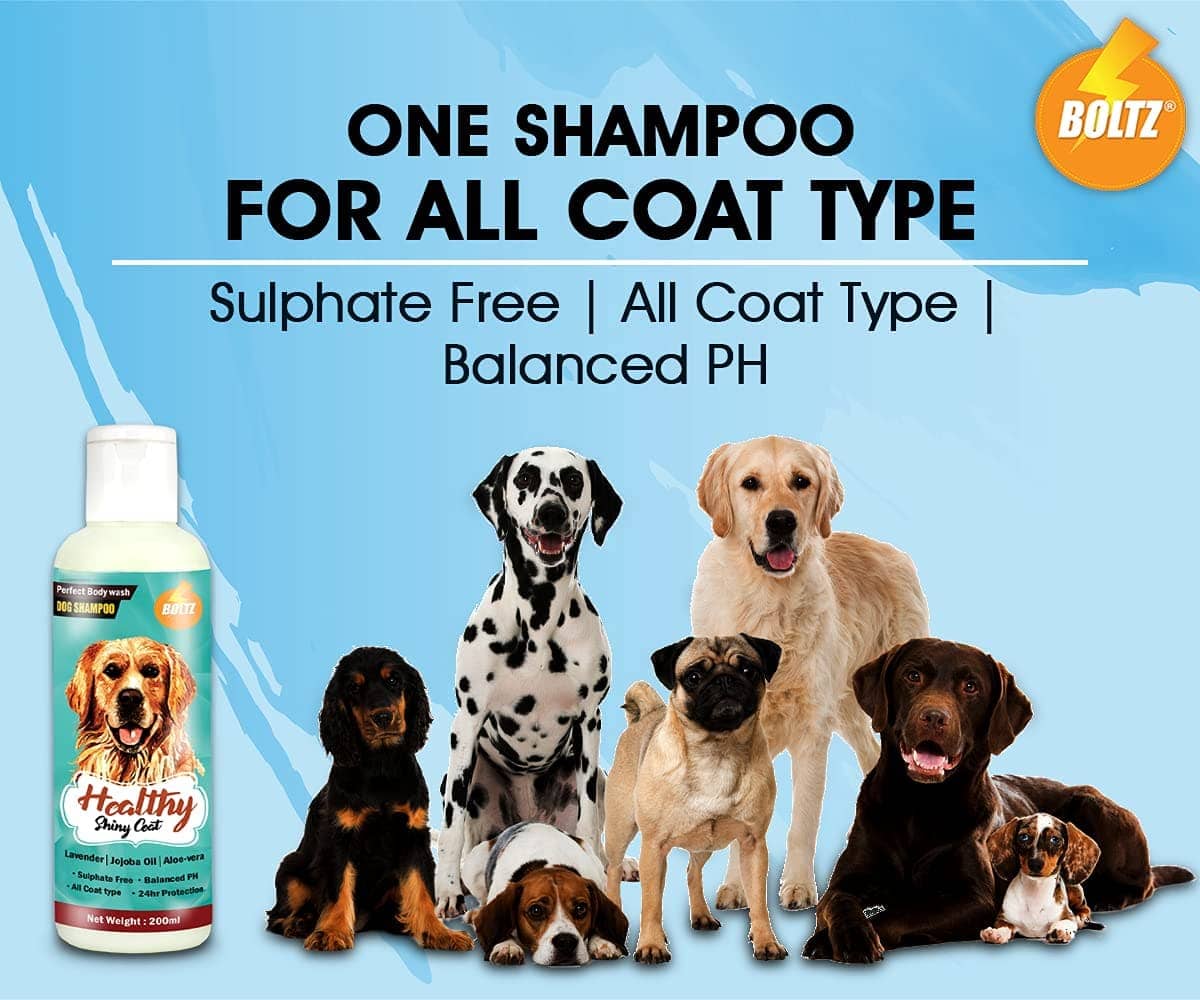 Boltz Shampoo for Dogs - Image 5