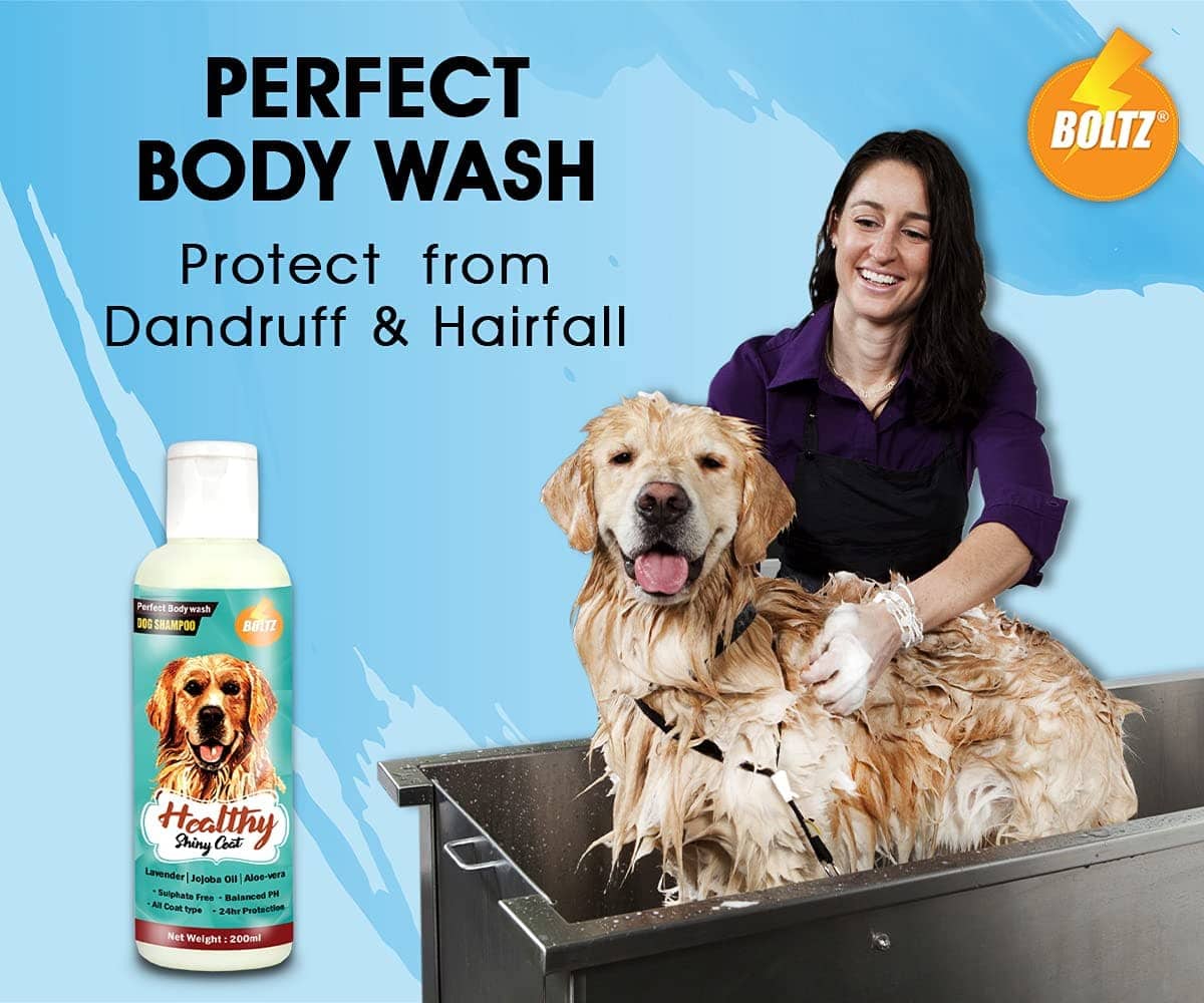 Boltz Shampoo for Dogs - Image 6