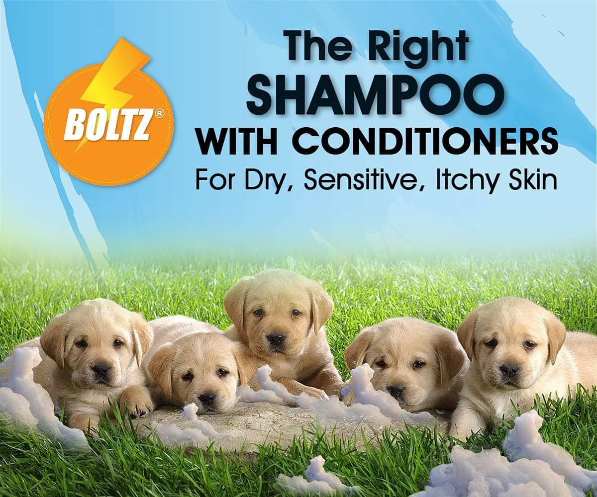 Boltz Shampoo for Dogs - Image 7