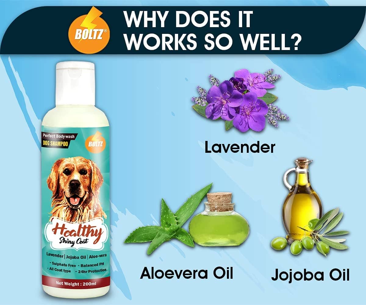 Boltz Shampoo for Dogs - Image 9