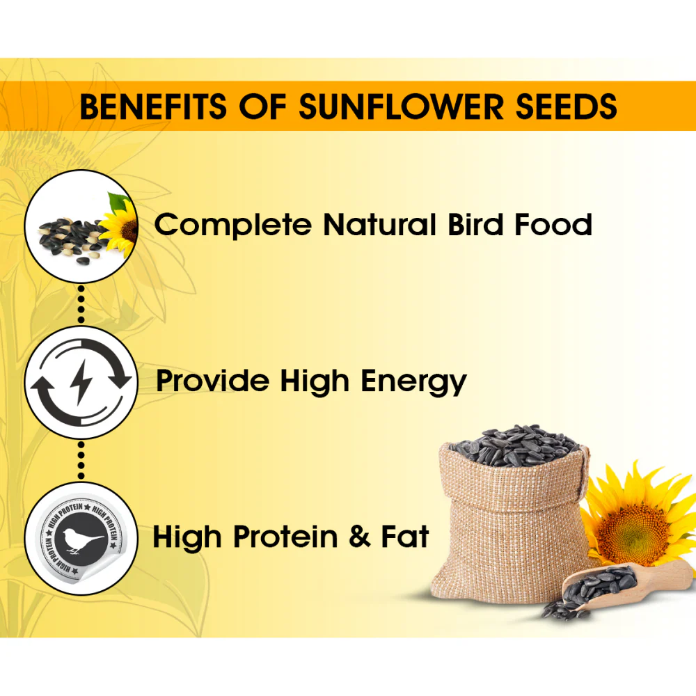 Boltz Striped Sunflower Seeds Bird Food - Image 2
